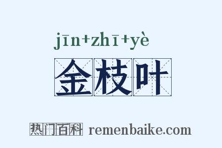 金枝叶是什么意思的图片